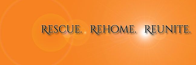 Community Rebuilding