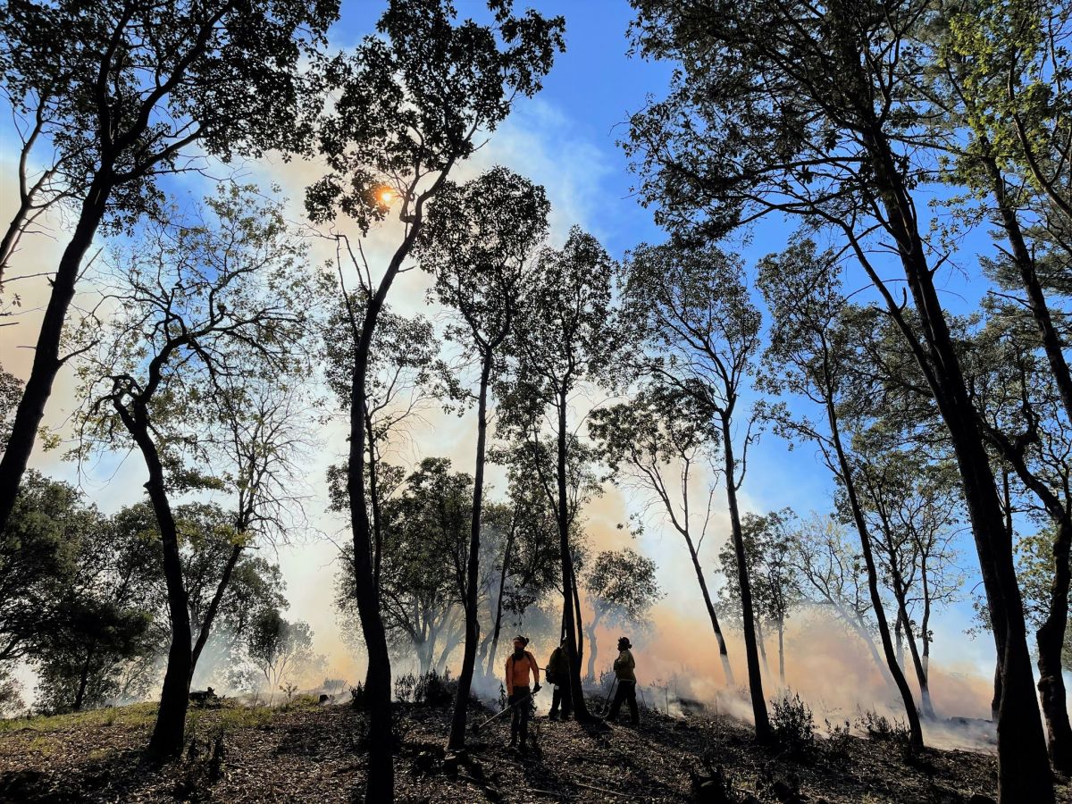 Community Rebuilding