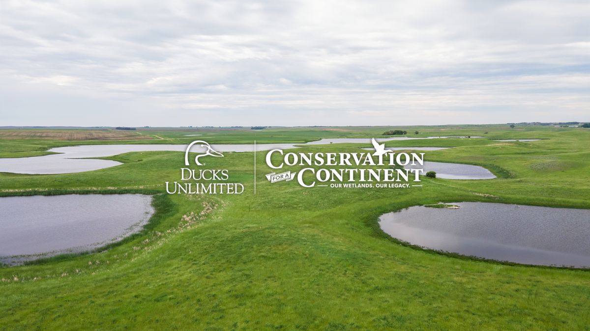 Community Rebuilding