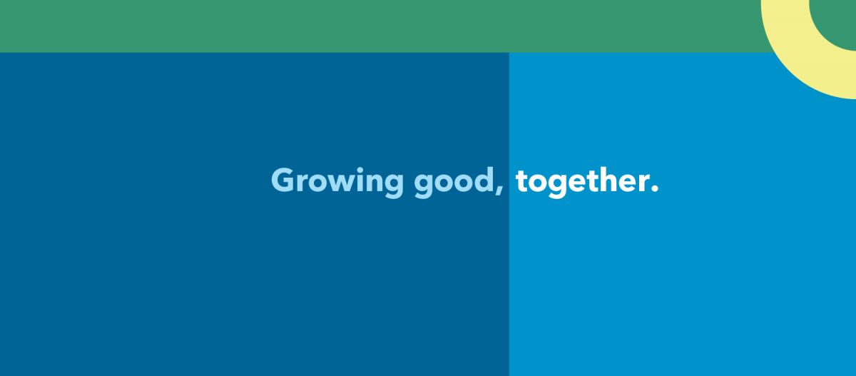 Community Rebuilding