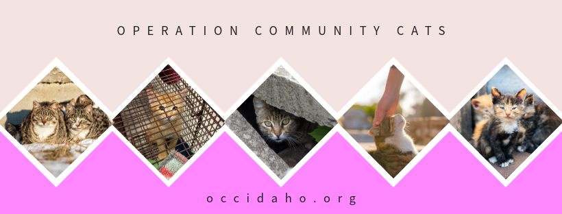 Community Rebuilding