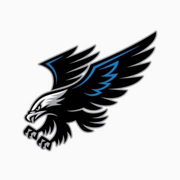 Fox Valley Hawks Hockey Club logo