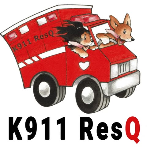 K911 Resq logo