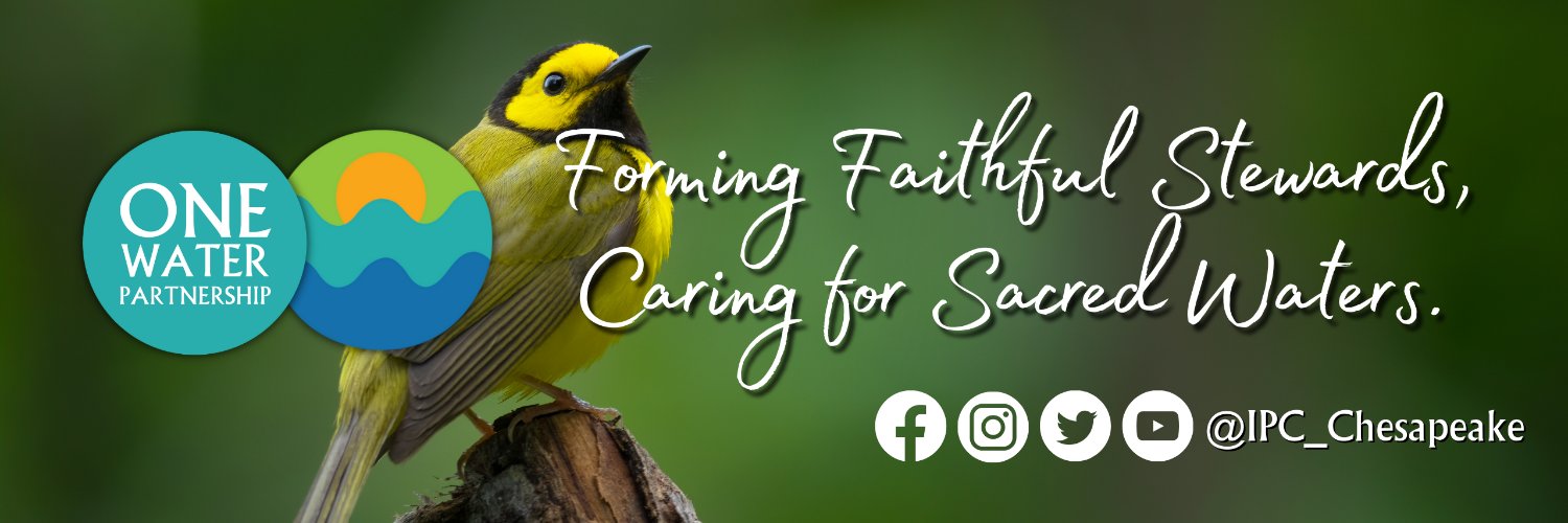 Community Rebuilding