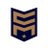 Charlie Mike logo