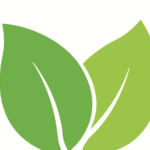 Last Organic Outpost logo